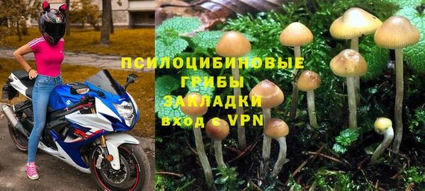 дмт Аркадак